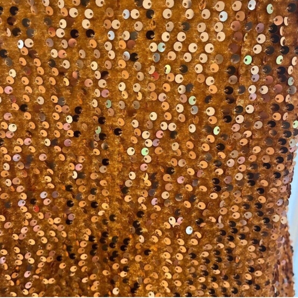 Free People Intimately Sequin Lace Dress - Picture 7 of 7